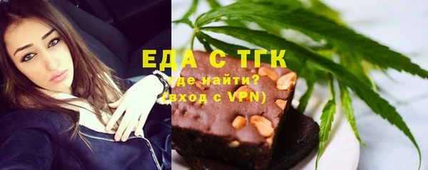 индика Арсеньев